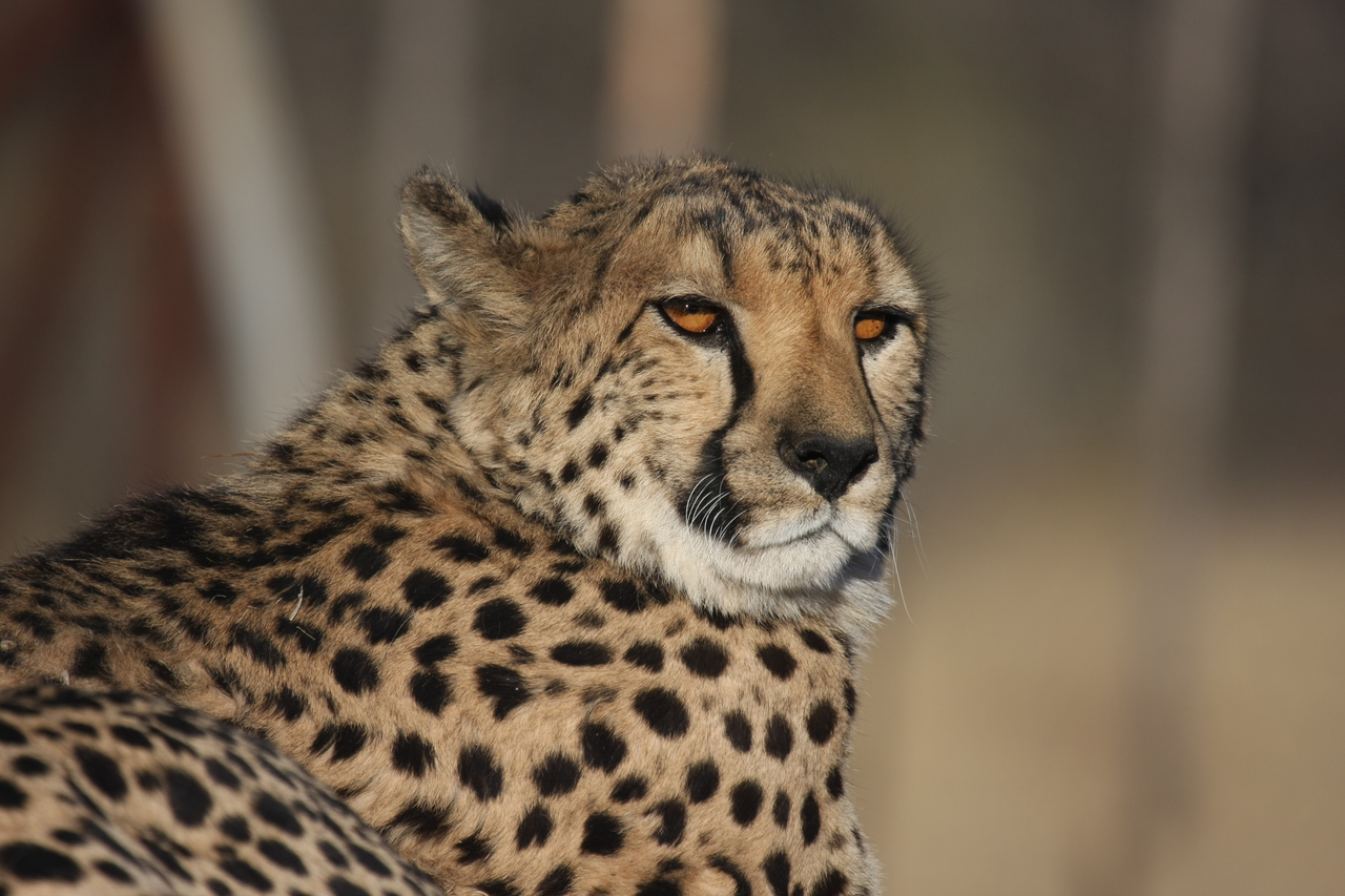 [7183] 2016_06_23_11_21_03_Africa_Canon_EOS_40D_IMG__01441.jpg