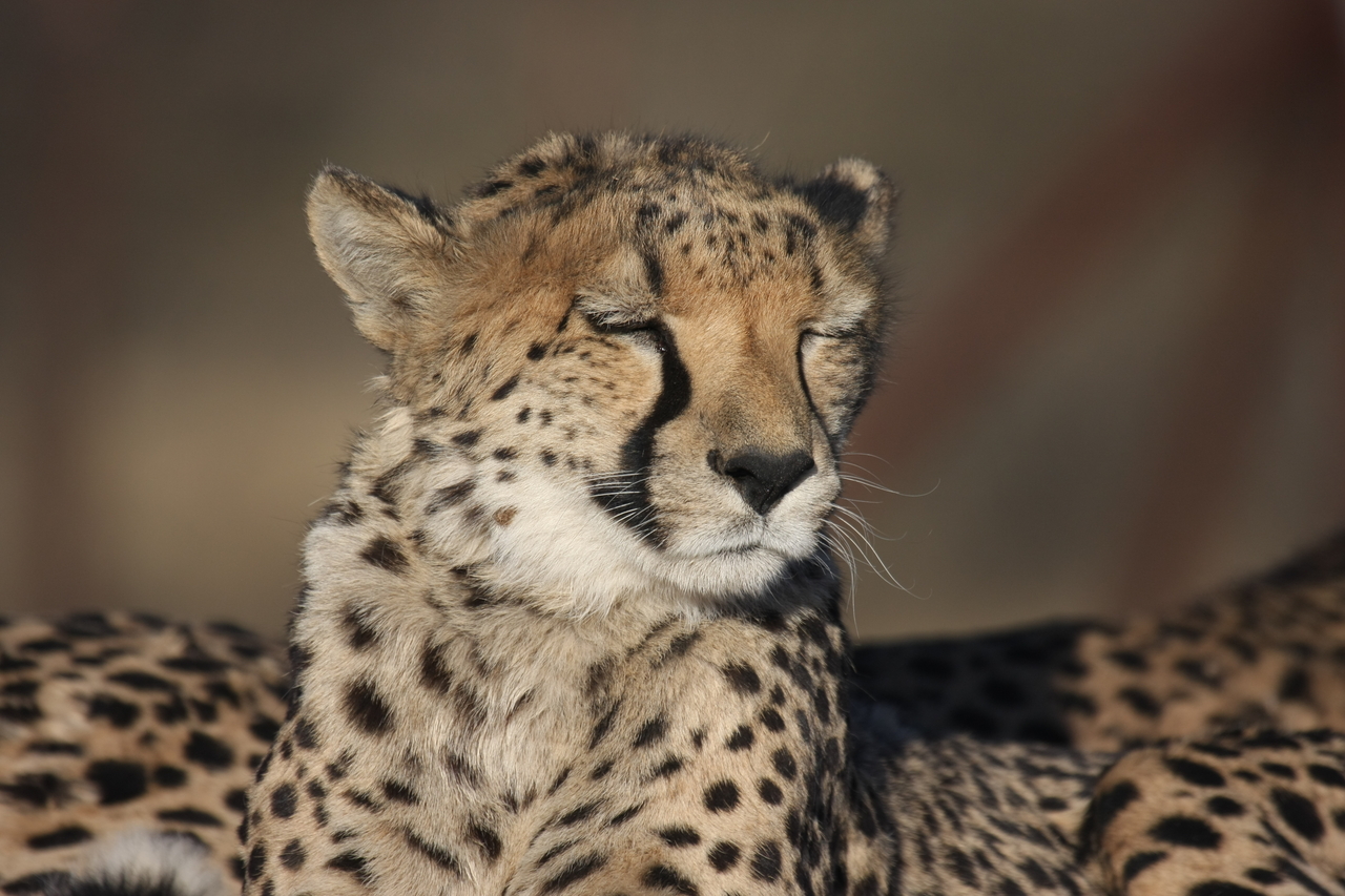 [7190] 2016_06_23_11_21_09_Africa_Canon_EOS_40D_IMG__01442.jpg