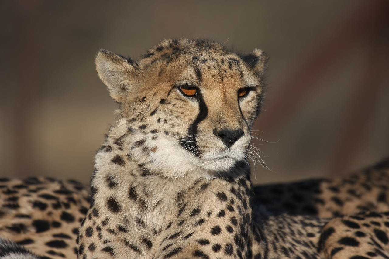 [7198] 2016_06_23_11_21_10_Africa_Canon_EOS_40D_IMG__08892.jpg