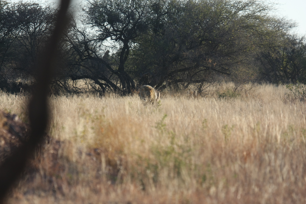 [7223] 2016_06_23_11_38_31_Africa_Canon_EOS_40D_IMG__01452.jpg