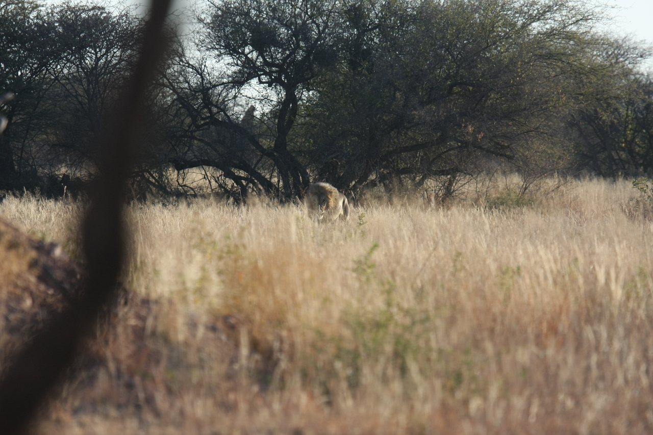 [7226] 2016_06_23_11_38_31_Africa_Canon_EOS_40D_IMG__08900.jpg