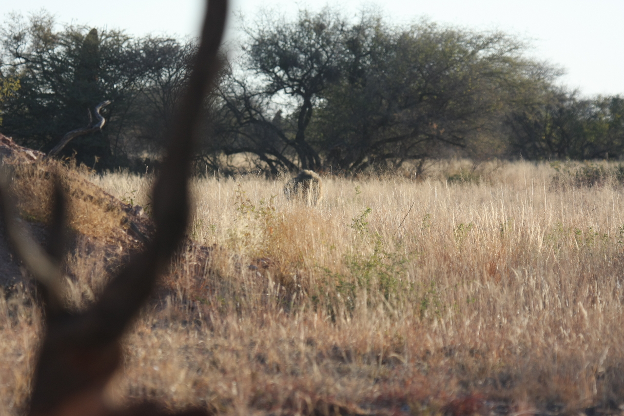 [7231] 2016_06_23_11_38_44_Africa_Canon_EOS_40D_IMG__01455.jpg