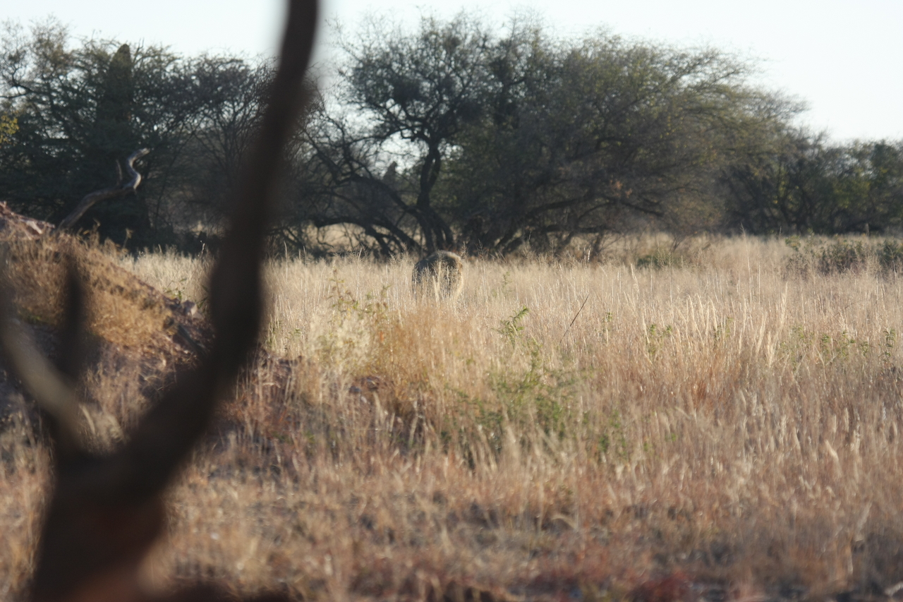 [7235] 2016_06_23_11_38_44_Africa_Canon_EOS_40D_IMG__08903.jpg