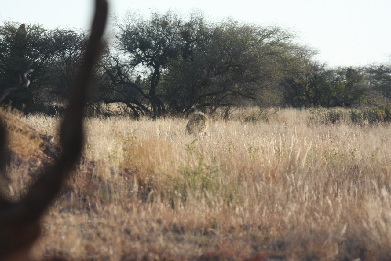 [7237] 2016_06_23_11_38_48_Africa_Canon_EOS_40D_IMG__00624.jpg