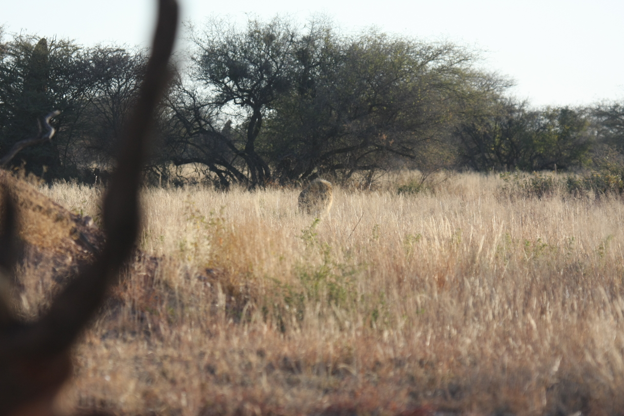 [7240] 2016_06_23_11_38_48_Africa_Canon_EOS_40D_IMG__08904.jpg