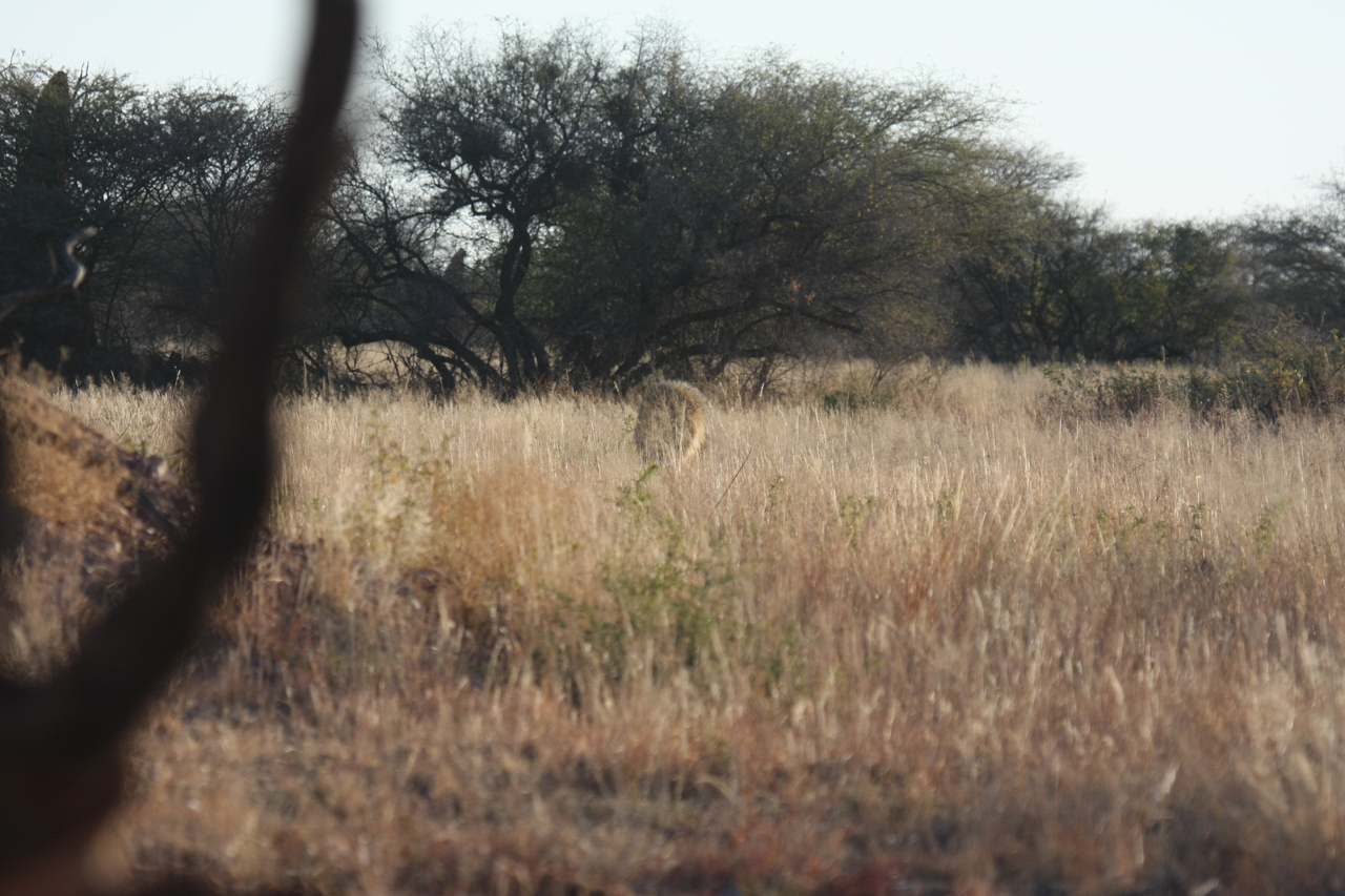 [7250] 2016_06_23_11_38_54_Africa_Canon_EOS_40D_IMG__08908.jpg