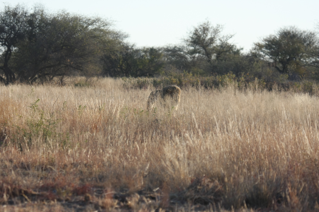 [7251] 2016_06_23_11_39_04_Africa_Canon_EOS_40D_IMG__00628.jpg