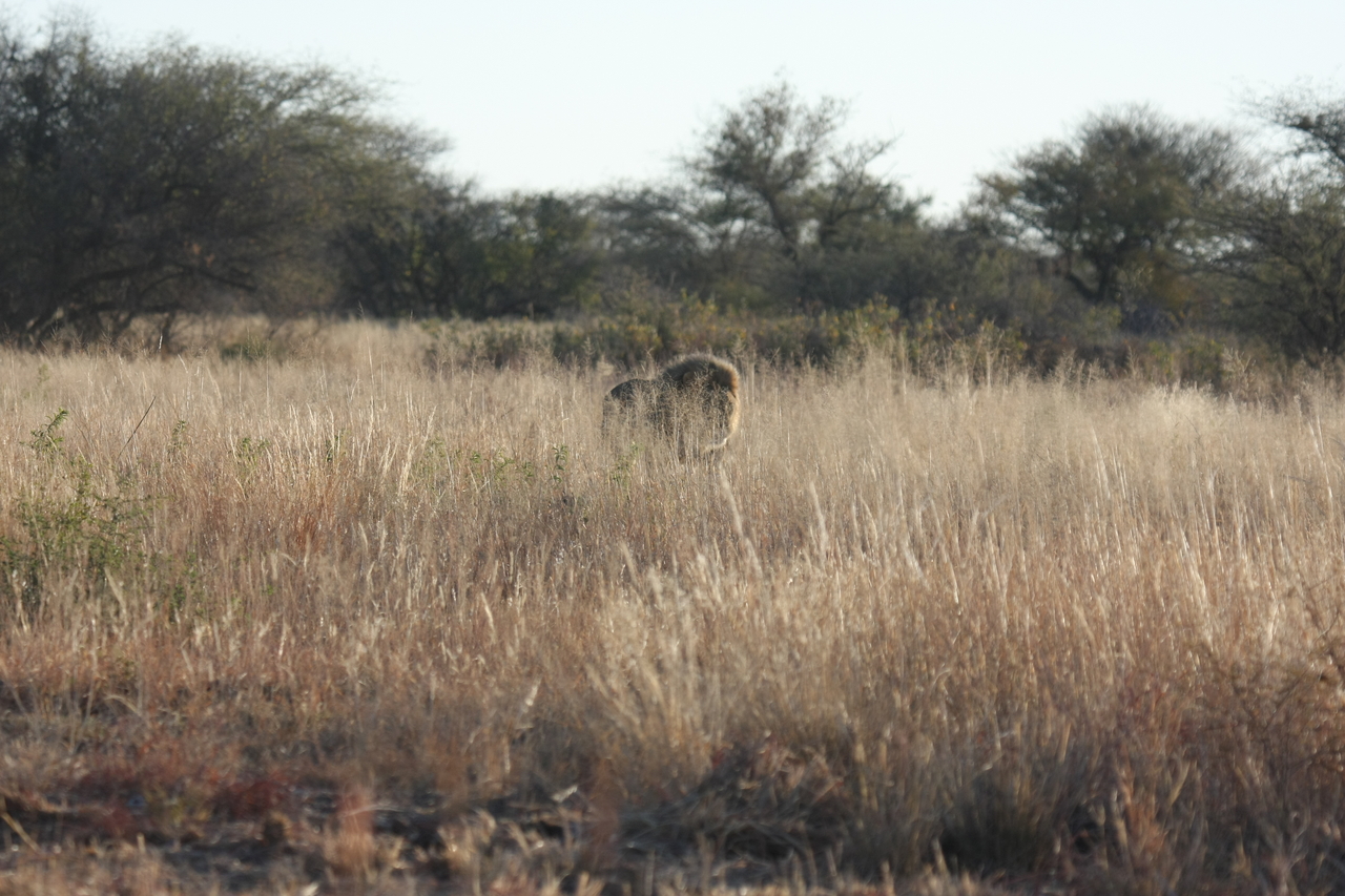 [7252] 2016_06_23_11_39_04_Africa_Canon_EOS_40D_IMG__00629.jpg