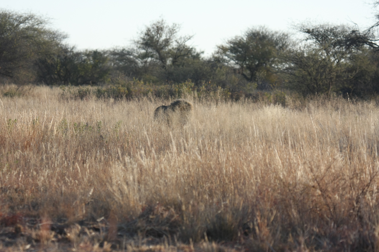 [7262] 2016_06_23_11_39_05_Africa_Canon_EOS_40D_IMG__08912.jpg