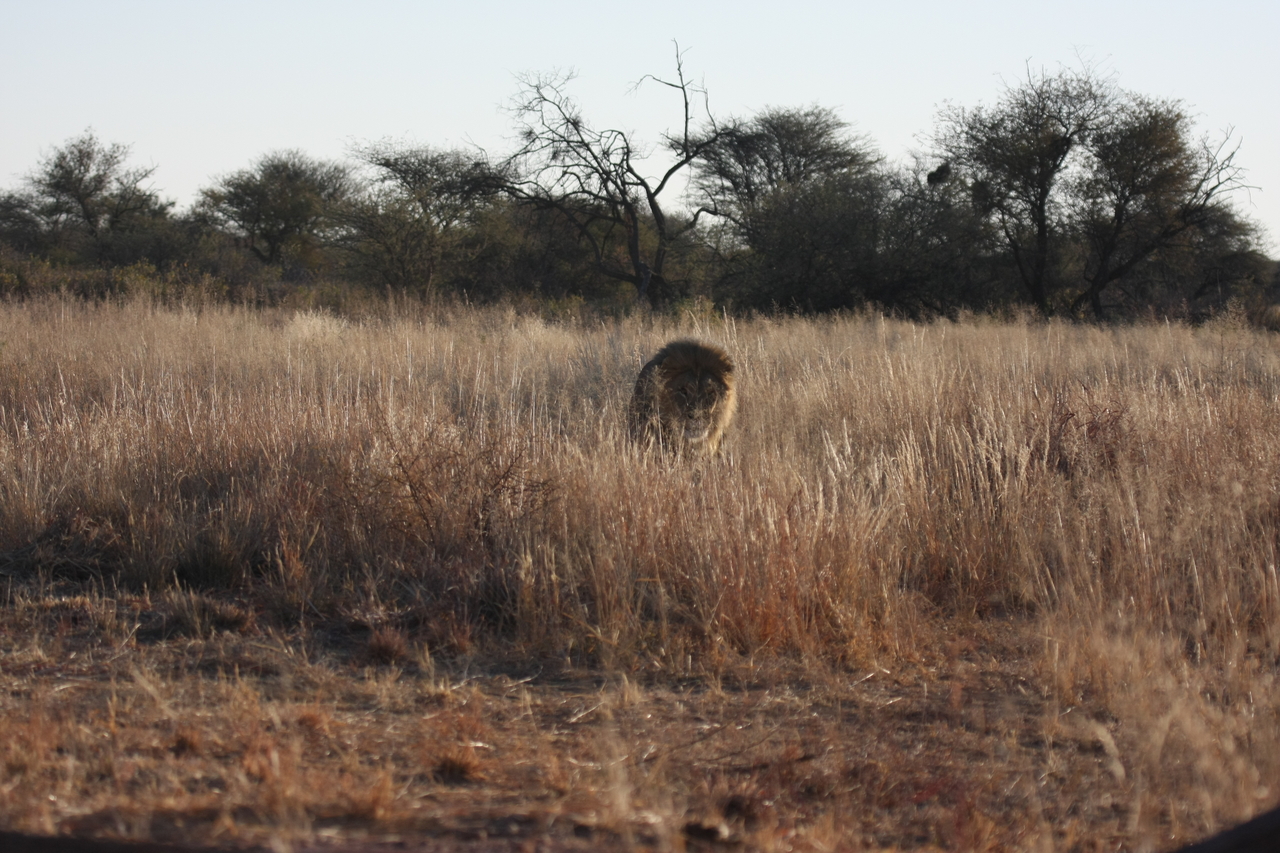[7283] 2016_06_23_11_39_16_Africa_Canon_EOS_40D_IMG__00640.jpg