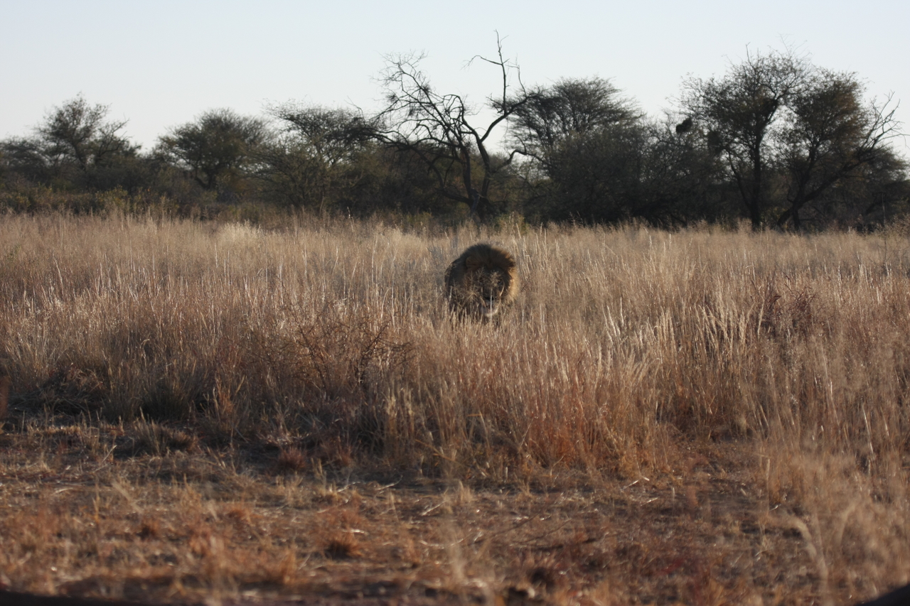 [7288] 2016_06_23_11_39_16_Africa_Canon_EOS_40D_IMG__08920.jpg