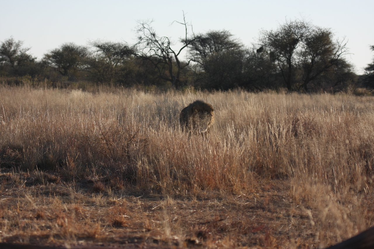 [7294] 2016_06_23_11_39_17_Africa_Canon_EOS_40D_IMG__08922.jpg