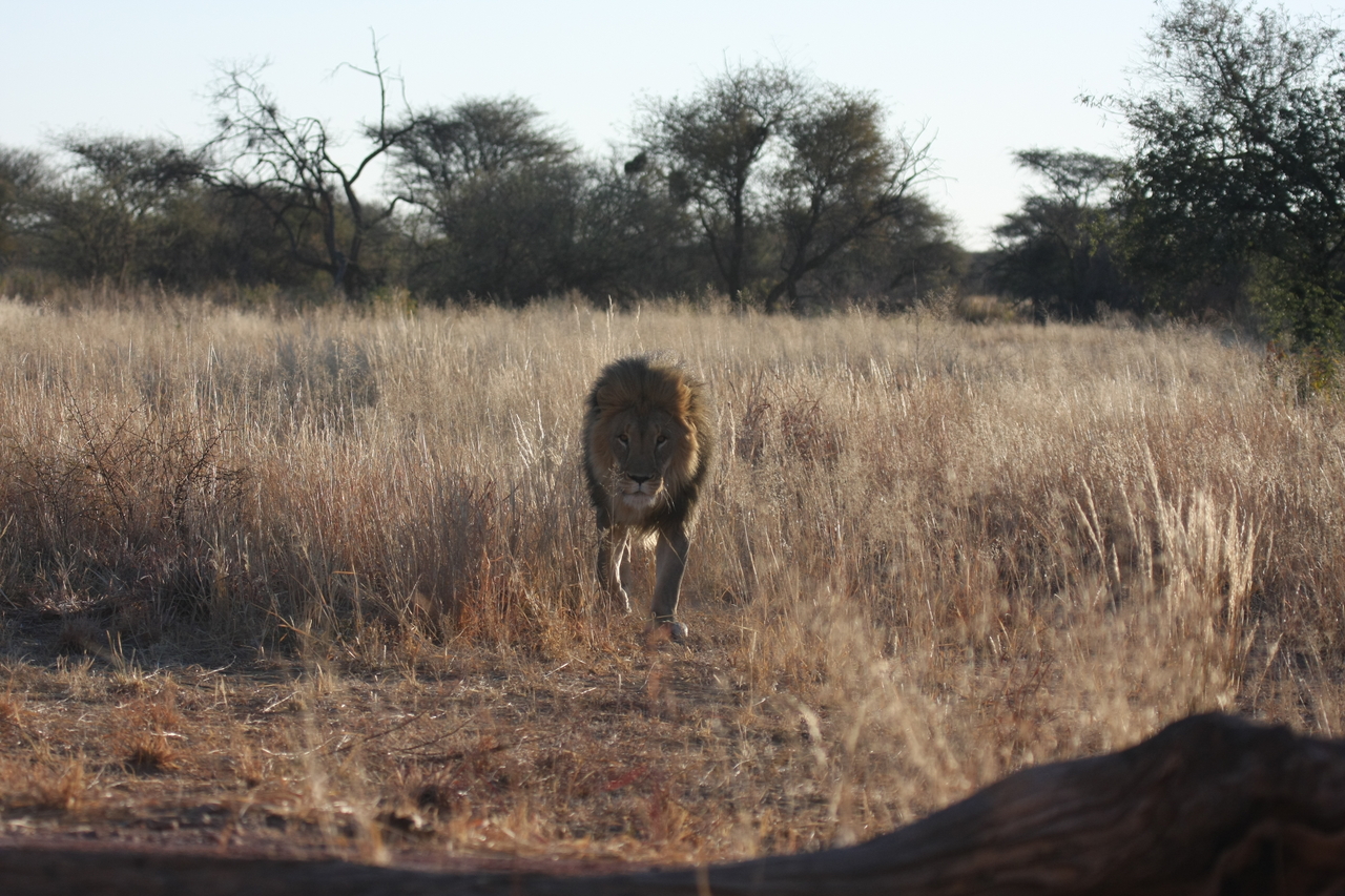 [7300] 2016_06_23_11_39_20_Africa_Canon_EOS_40D_IMG__00645.jpg