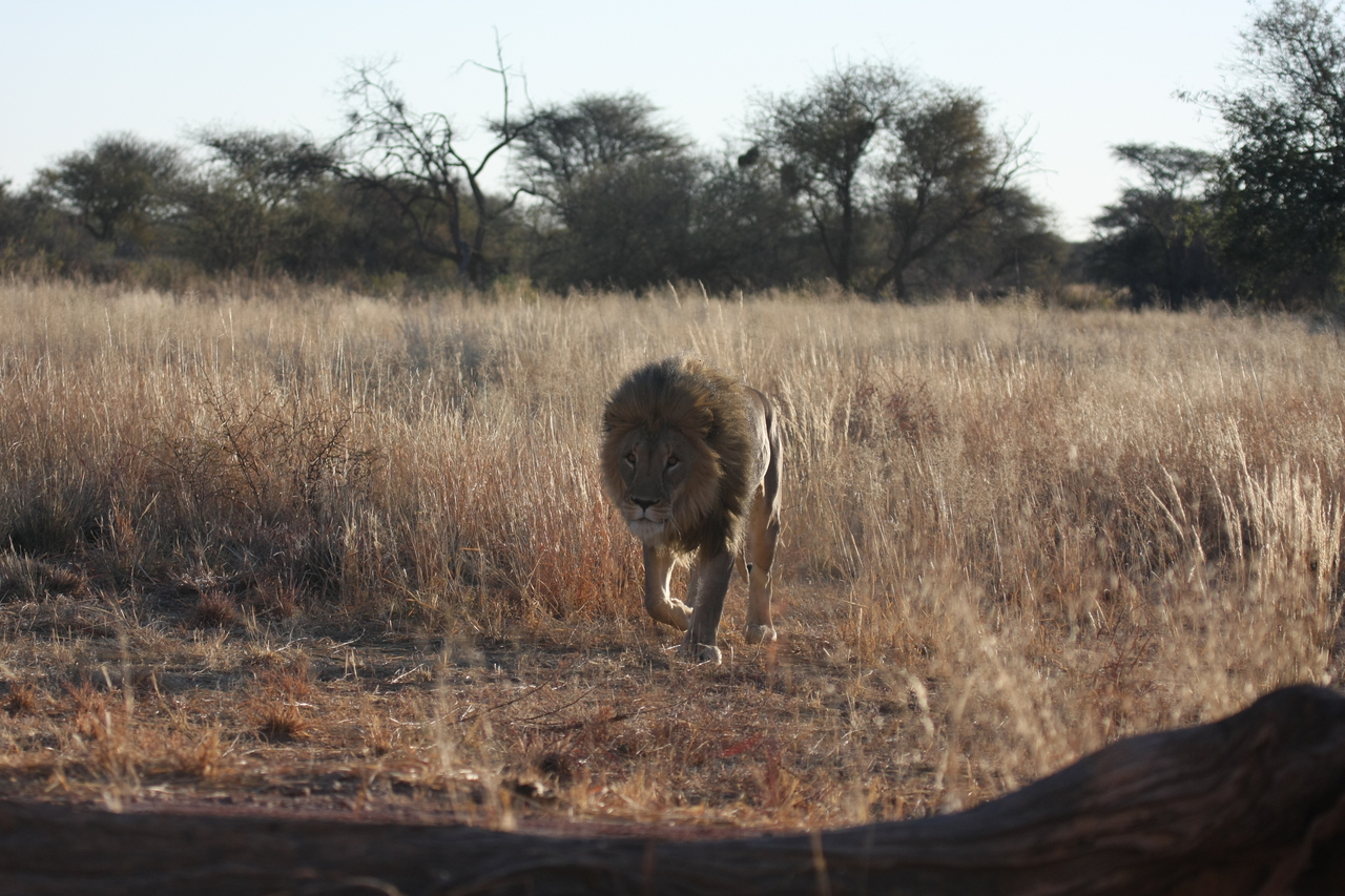 [7319] 2016_06_23_11_39_22_Africa_Canon_EOS_40D_IMG__01485.jpg