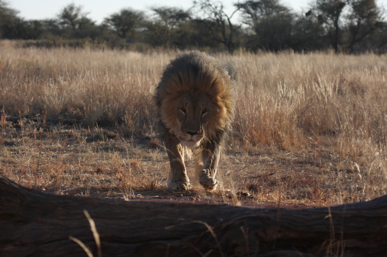 [7336] 2016_06_23_11_39_25_Africa_Canon_EOS_40D_IMG__00657.jpg