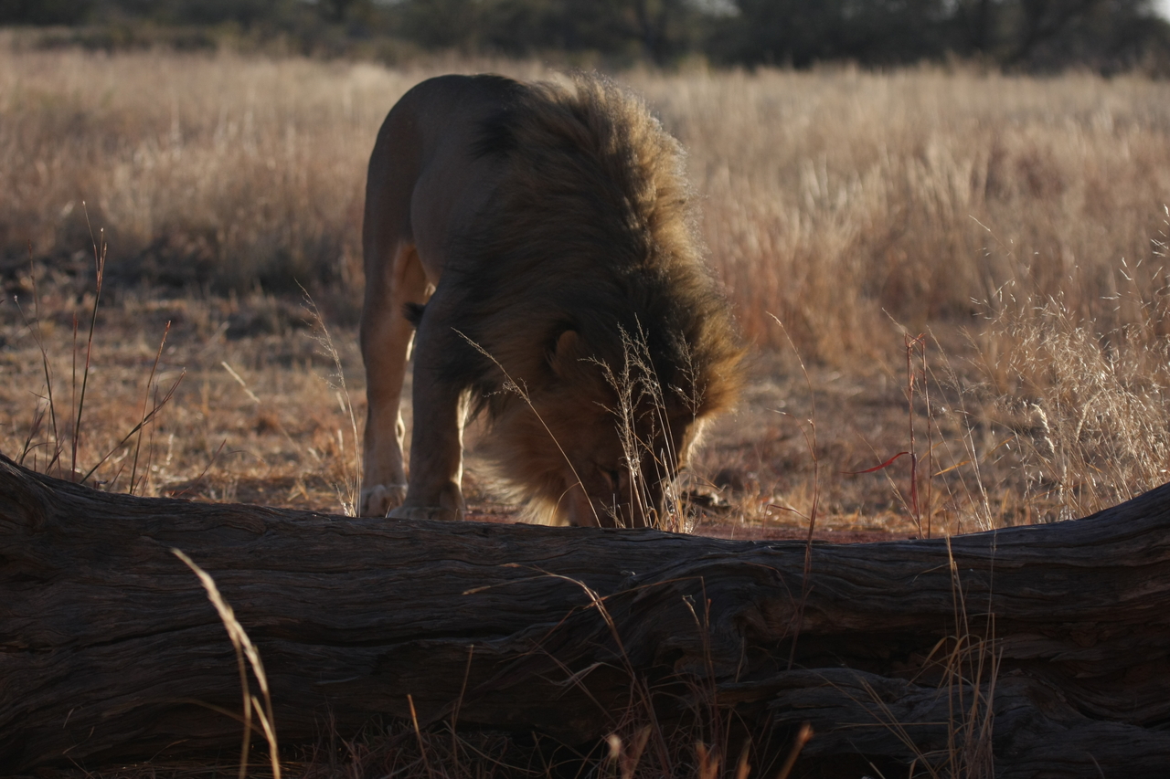 [7345] 2016_06_23_11_39_26_Africa_Canon_EOS_40D_IMG__00660.jpg