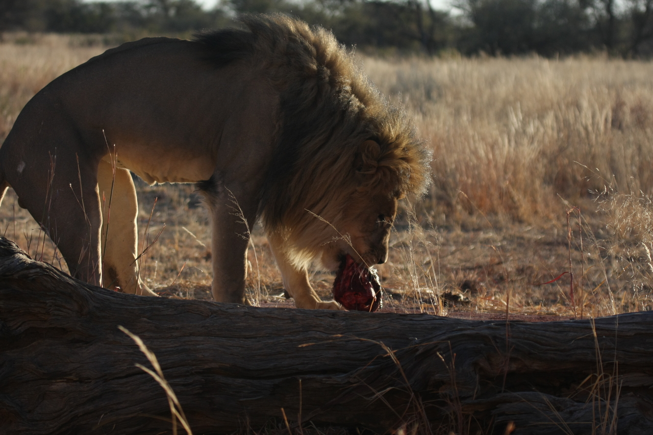 [7357] 2016_06_23_11_39_29_Africa_Canon_EOS_40D_IMG__00664.jpg
