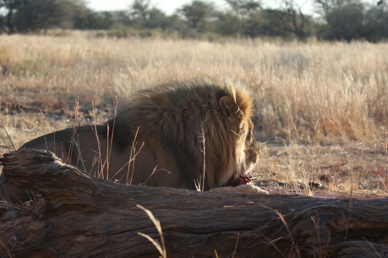 [7365] 2016_06_23_11_39_35_Africa_Canon_EOS_40D_IMG__00666.jpg