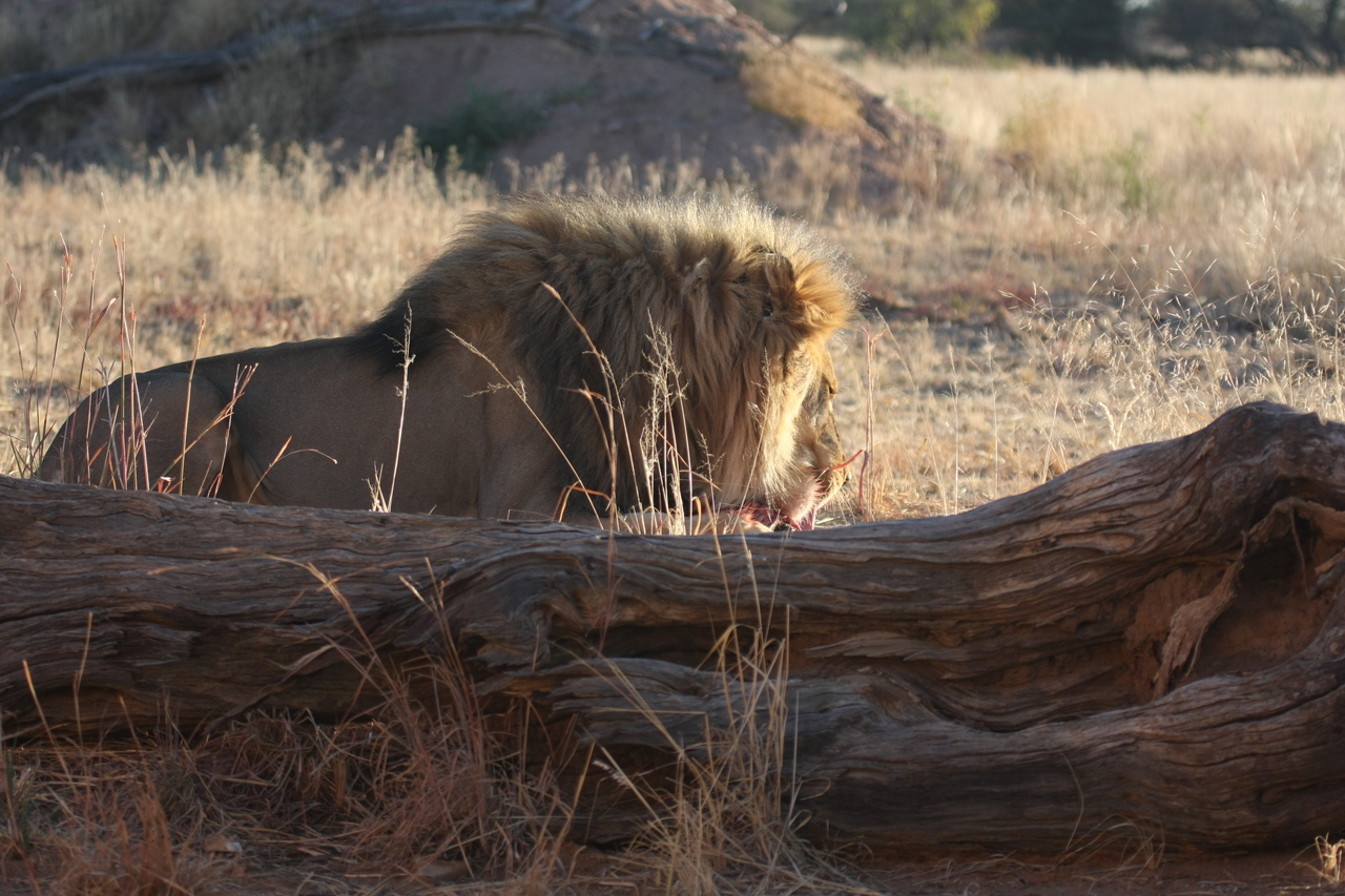 [7372] 2016_06_23_11_39_51_Africa_Canon_EOS_40D_IMG__01502.jpg