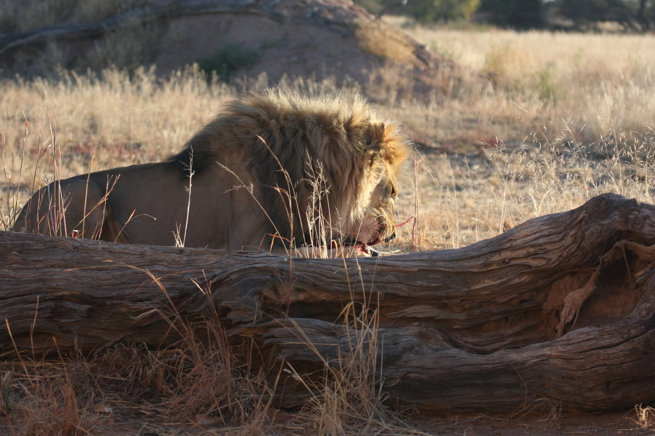 [7376] 2016_06_23_11_39_51_Africa_Canon_EOS_40D_IMG__08950.jpg
