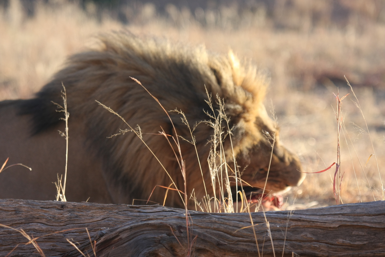 [7381] 2016_06_23_11_40_05_Africa_Canon_EOS_40D_IMG__08951.jpg