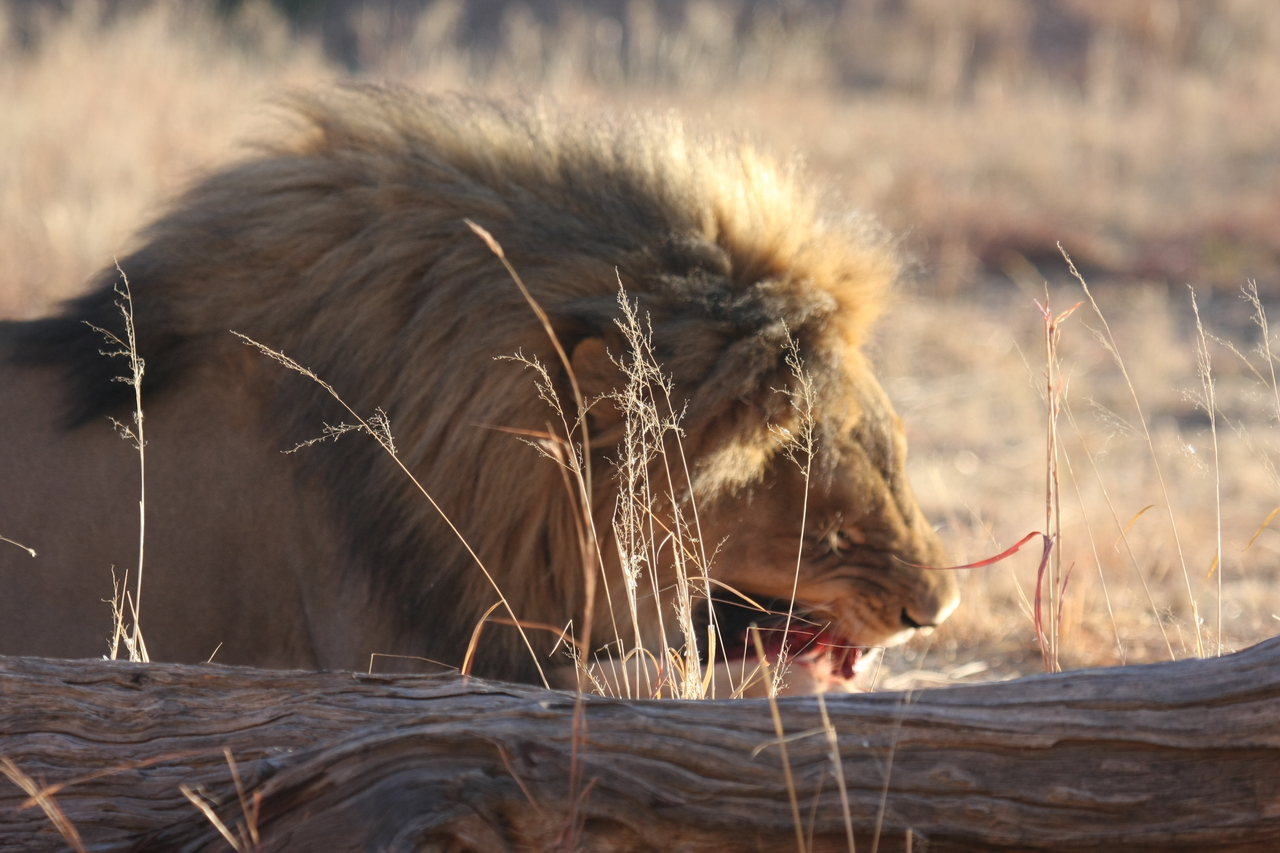 [7383] 2016_06_23_11_40_09_Africa_Canon_EOS_40D_IMG__00672.jpg