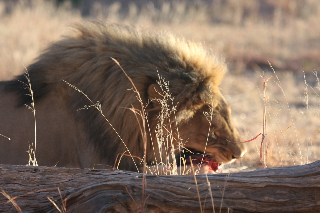 [7388] 2016_06_23_11_40_09_Africa_Canon_EOS_40D_IMG__08954.jpg