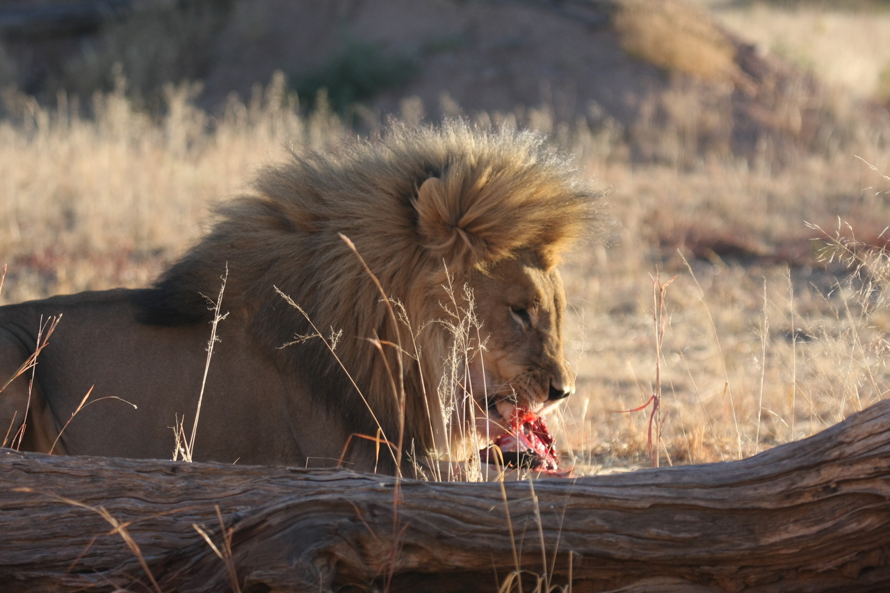 [7443] 2016_06_23_11_40_44_Africa_Canon_EOS_40D_IMG__01524.jpg