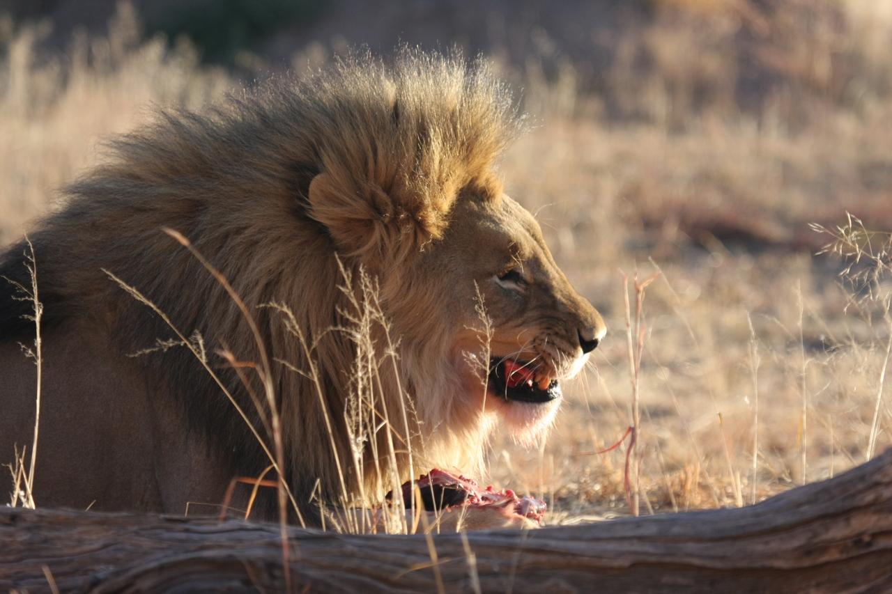 [7457] 2016_06_23_11_40_49_Africa_Canon_EOS_40D_IMG__01529.jpg