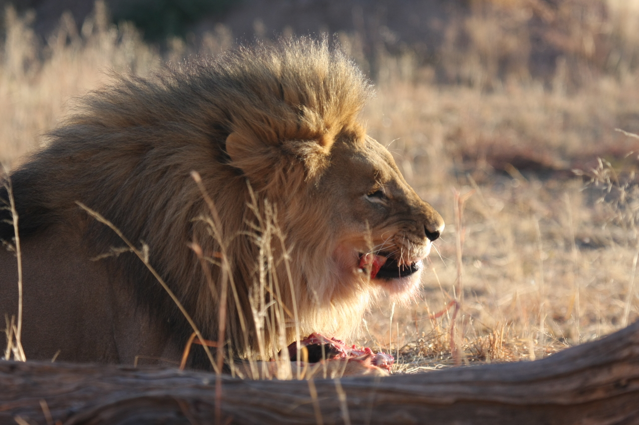 [7458] 2016_06_23_11_40_49_Africa_Canon_EOS_40D_IMG__01530.jpg