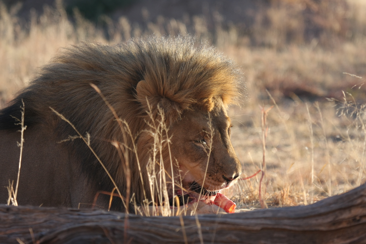 [7466] 2016_06_23_11_40_51_Africa_Canon_EOS_40D_IMG__00699.jpg