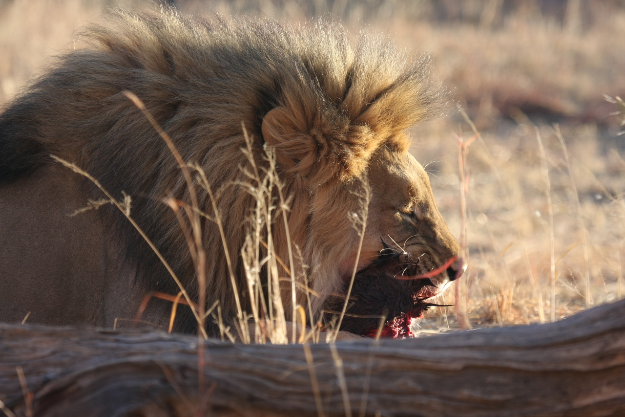[7541] 2016_06_23_11_41_49_Africa_Canon_EOS_40D_IMG__00722.jpg
