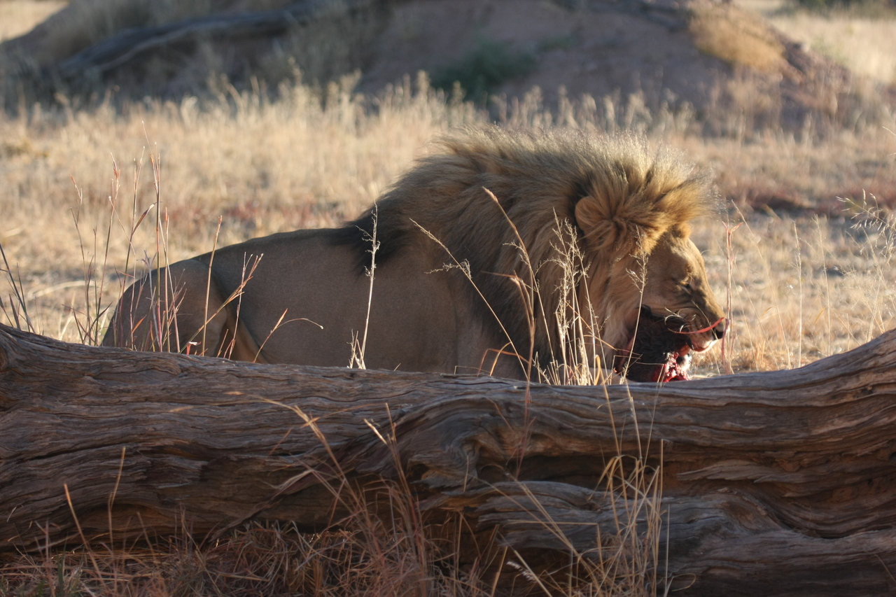 [7554] 2016_06_23_11_41_58_Africa_Canon_EOS_40D_IMG__09004.jpg