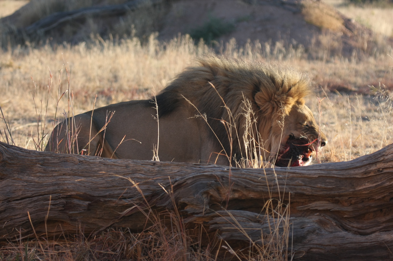 [7555] 2016_06_23_11_41_58_Africa_Canon_EOS_40D_IMG__09005.jpg