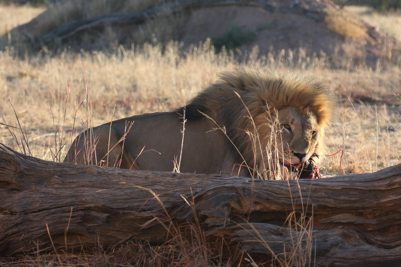 [7558] 2016_06_23_11_42_04_Africa_Canon_EOS_40D_IMG__00727.jpg
