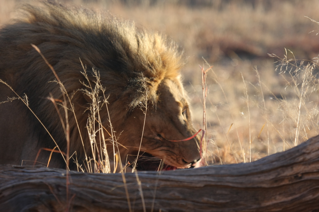 [7569] 2016_06_23_11_42_19_Africa_Canon_EOS_40D_IMG__09009.jpg