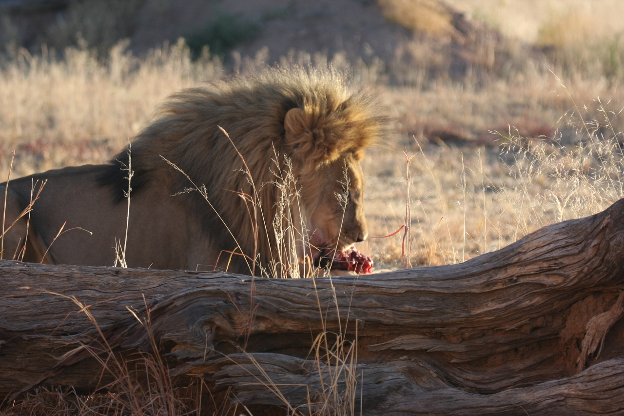 [7577] 2016_06_23_11_42_39_Africa_Canon_EOS_40D_IMG__01567.jpg
