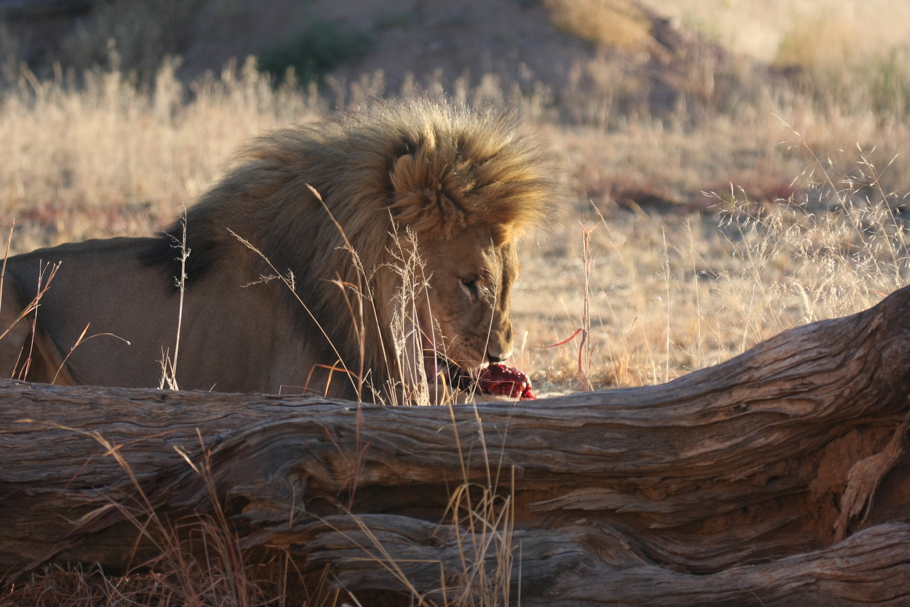 [7578] 2016_06_23_11_42_39_Africa_Canon_EOS_40D_IMG__09012.jpg
