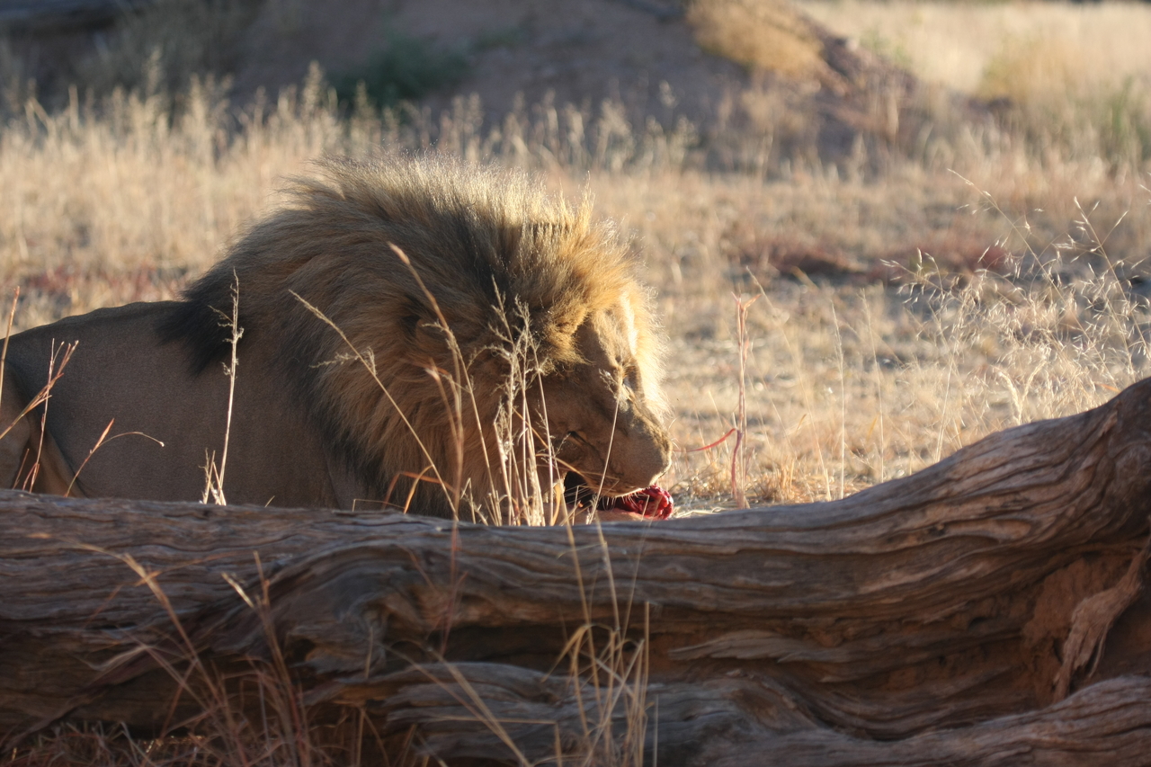 [7587] 2016_06_23_11_42_50_Africa_Canon_EOS_40D_IMG__00736.jpg