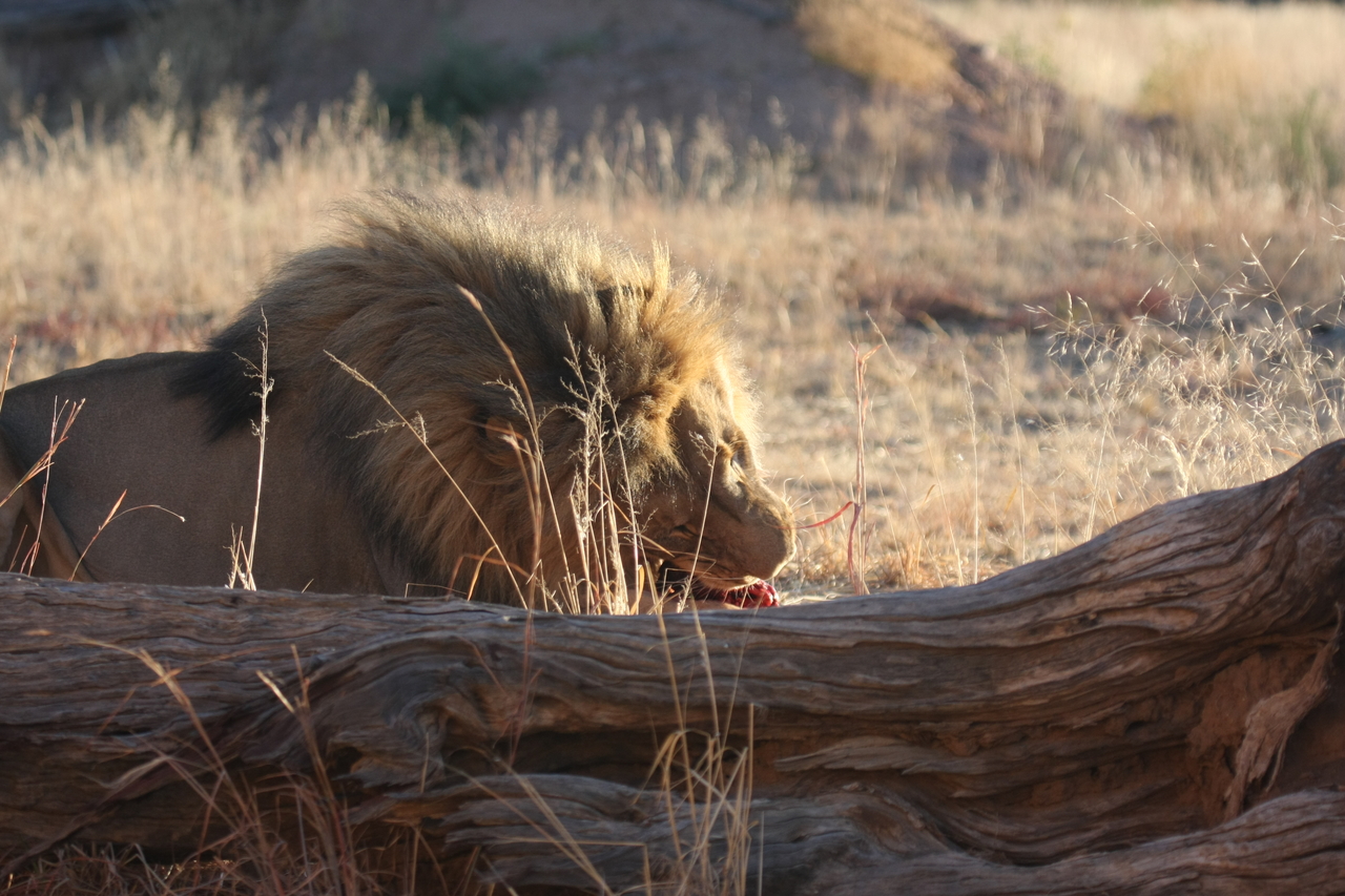 [7595] 2016_06_23_11_42_50_Africa_Canon_EOS_40D_IMG__09019.jpg