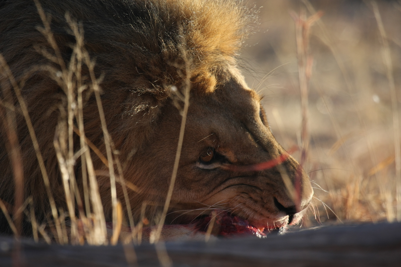 [7610] 2016_06_23_11_43_13_Africa_Canon_EOS_40D_IMG__09024.jpg