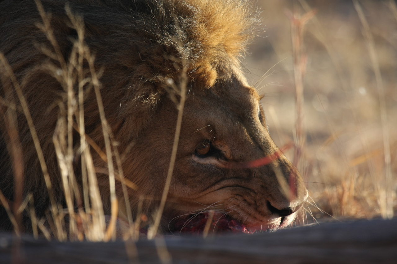 [7617] 2016_06_23_11_43_14_Africa_Canon_EOS_40D_IMG__09025.jpg