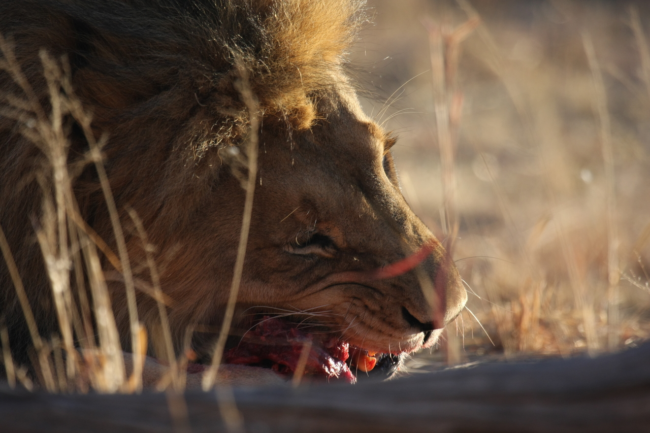 [7645] 2016_06_23_11_43_26_Africa_Canon_EOS_40D_IMG__01027.jpg