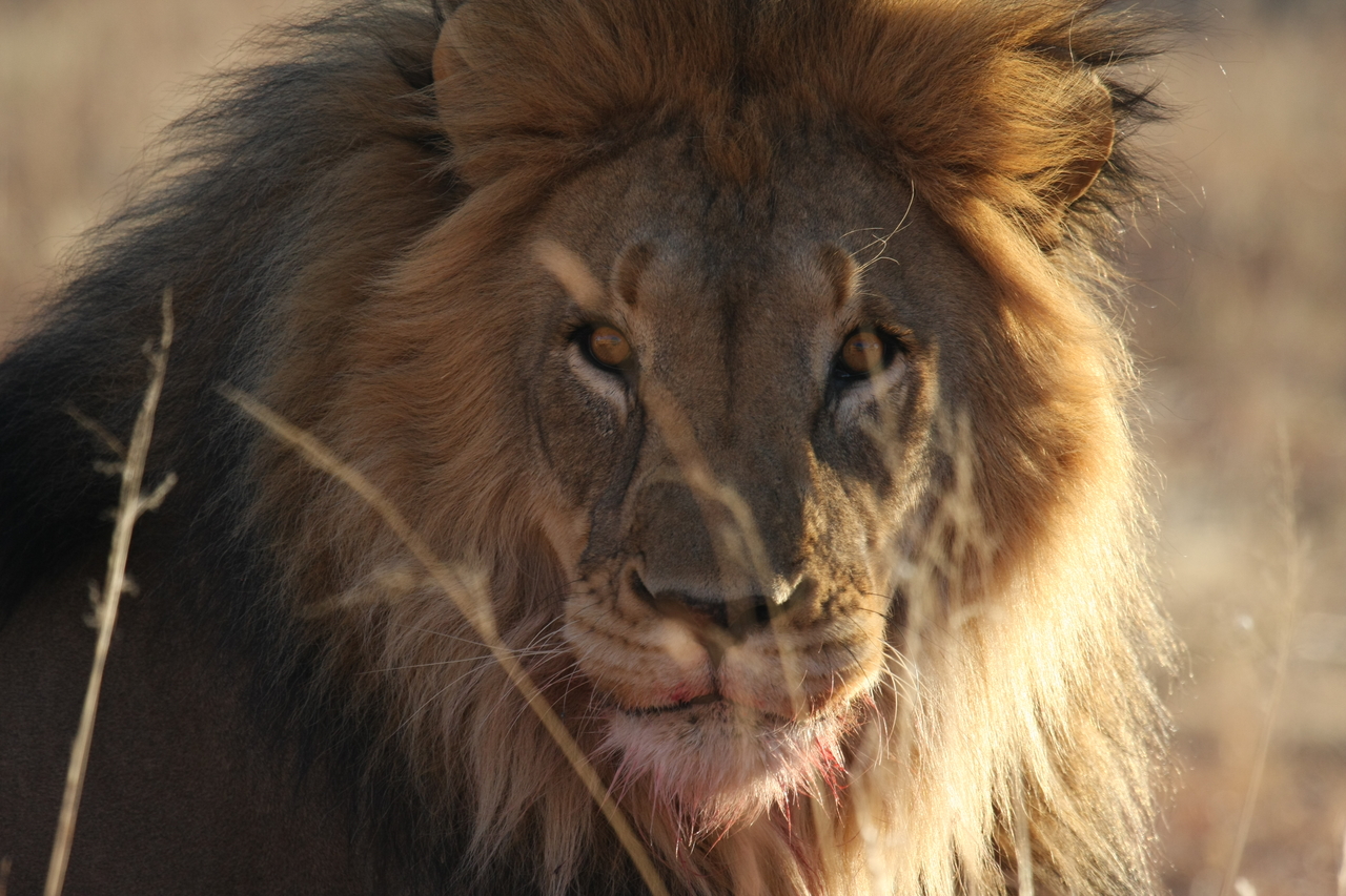 [7663] 2016_06_23_11_43_33_Africa_Canon_EOS_40D_IMG__00765.jpg