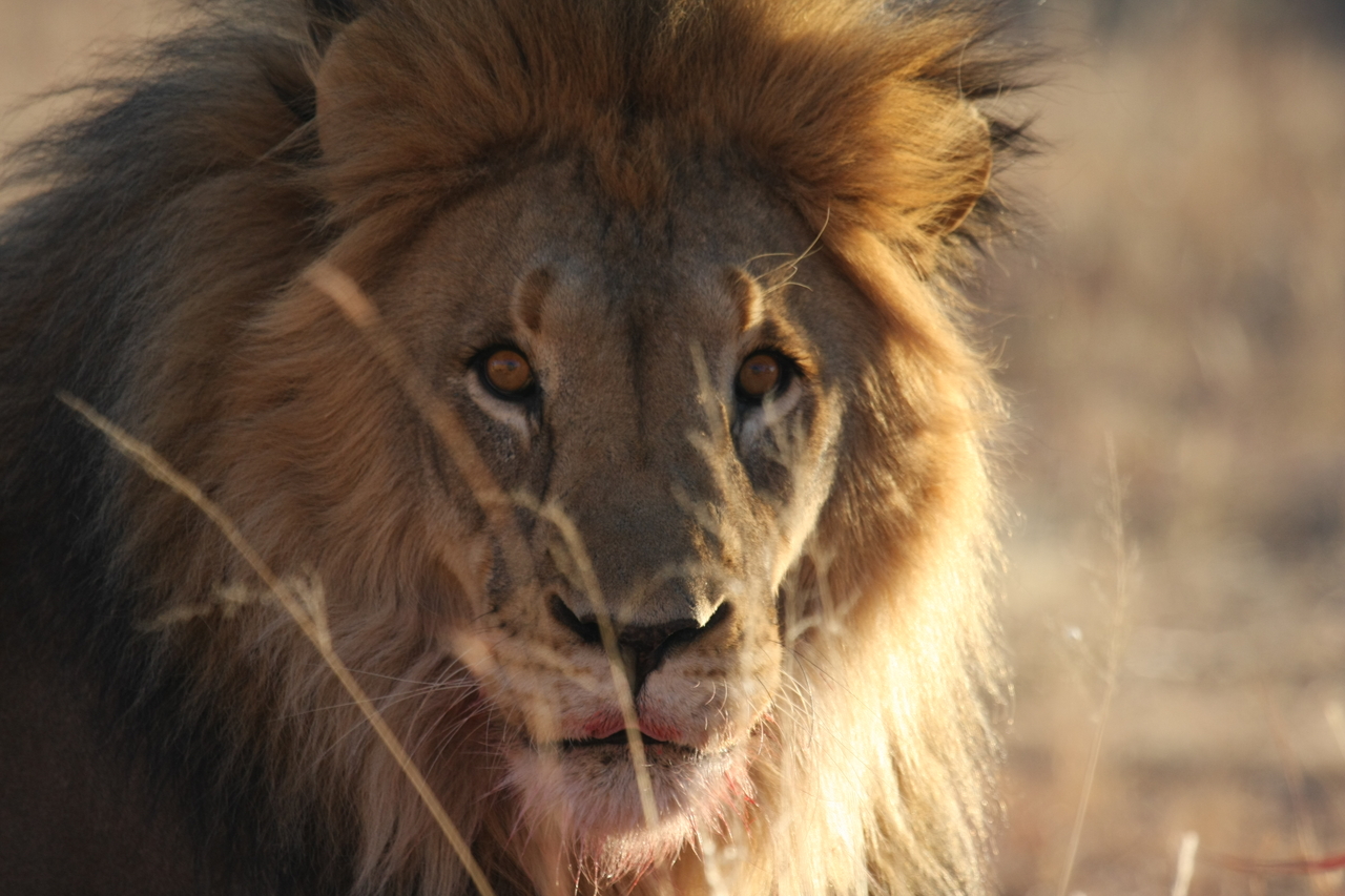 [7675] 2016_06_23_11_43_34_Africa_Canon_EOS_40D_IMG__09057.jpg