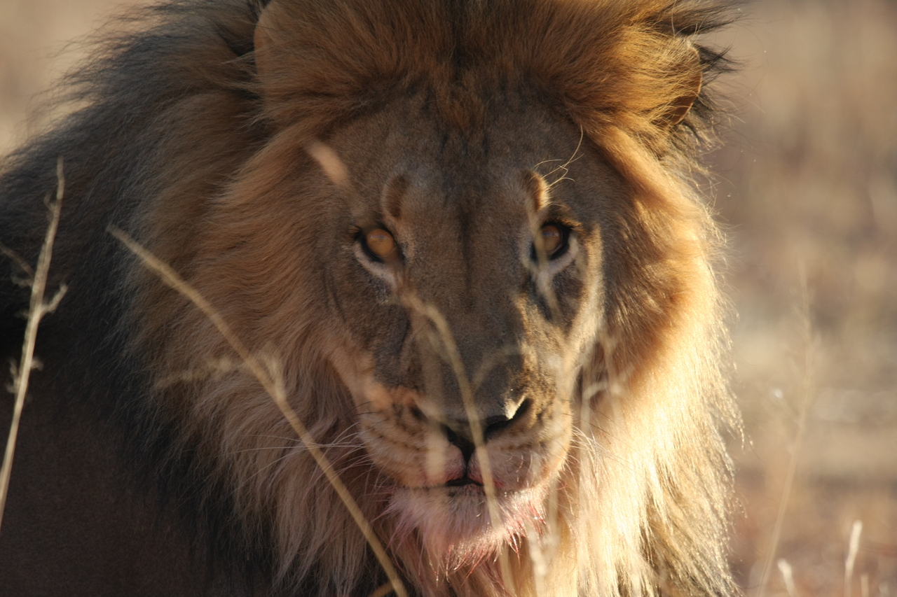 [7687] 2016_06_23_11_43_35_Africa_Canon_EOS_40D_IMG__09101.jpg