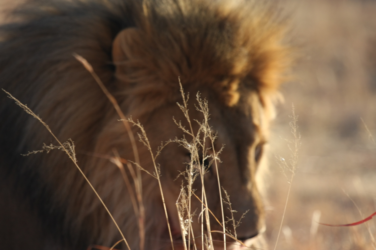 [7690] 2016_06_23_11_43_36_Africa_Canon_EOS_40D_IMG__09112.jpg