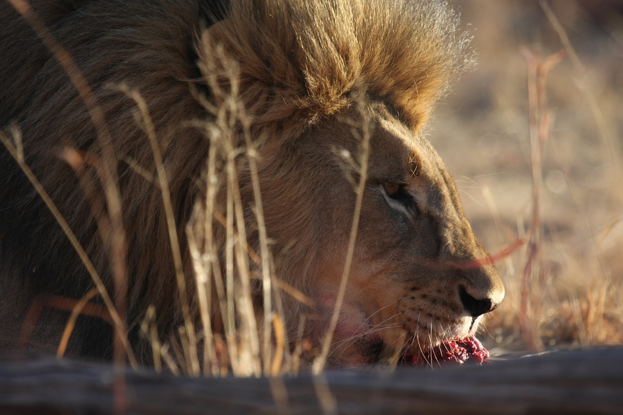 [7707] 2016_06_23_11_43_59_Africa_Canon_EOS_40D_IMG__01732.jpg