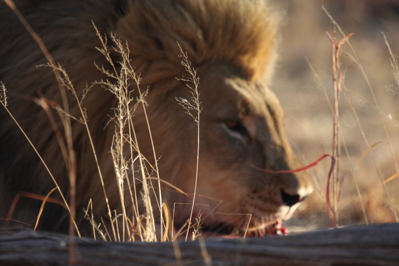 [7712] 2016_06_23_11_44_01_Africa_Canon_EOS_40D_IMG__00920.jpg