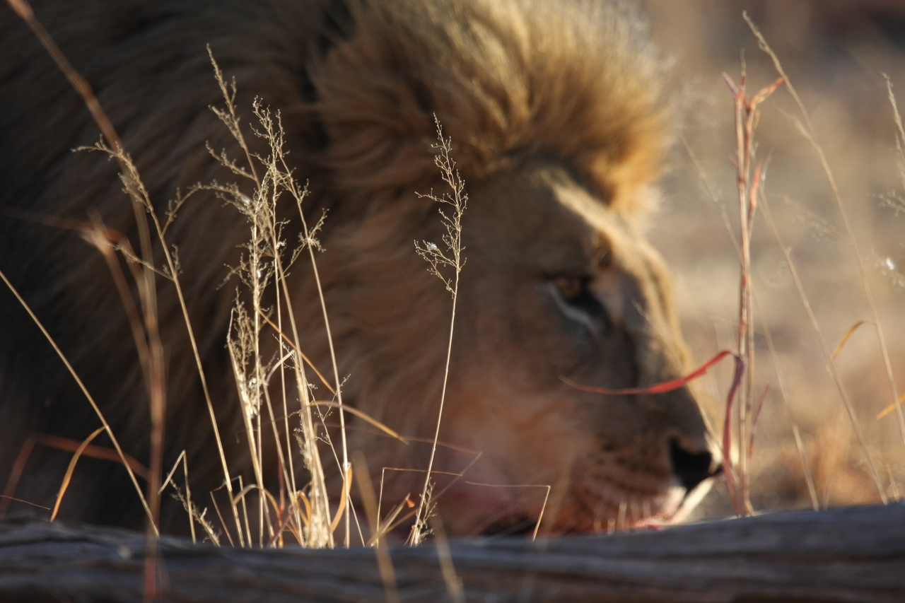 [7714] 2016_06_23_11_44_01_Africa_Canon_EOS_40D_IMG__00942.jpg